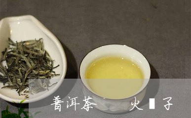 普洱茶  火疖子/2023041012927